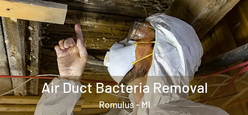  Air Duct Bacteria Removal Romulus - MI