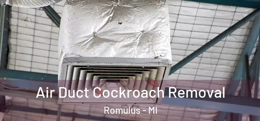  Air Duct Cockroach Removal Romulus - MI