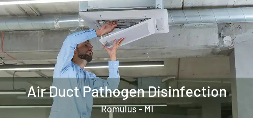  Air Duct Pathogen Disinfection Romulus - MI