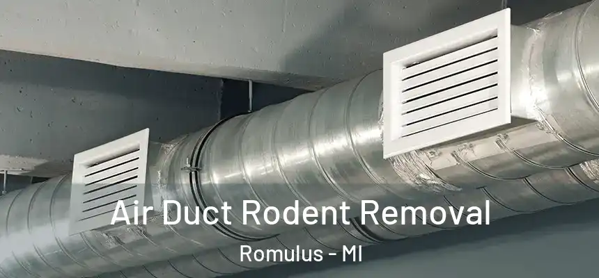  Air Duct Rodent Removal Romulus - MI