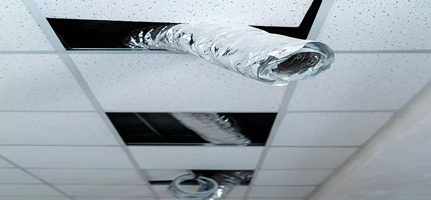 Our Air Duct Pet Hair Removal Services in Romulus, MI