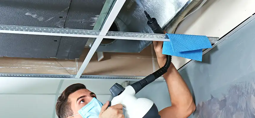 Our Air Duct Rodent Removal Services in Romulus, MI