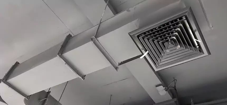 Restorative Allergy Relief Vent Cleaning – Coil, Blower & Housing Detail in Romulus