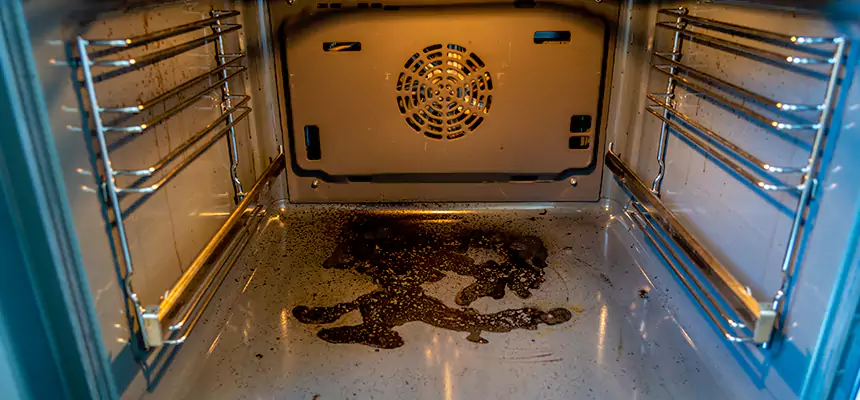 Our Dryer Vent Mold Cleaning Services in Romulus, MI