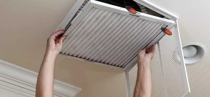 Our Insect Removal from Air Ducts Services in Romulus, MI