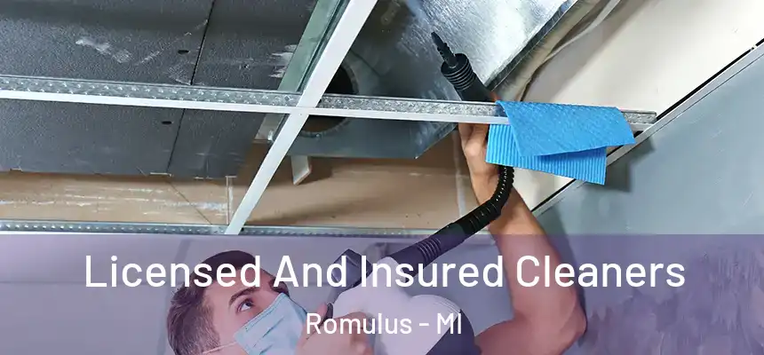  Licensed And Insured Cleaners Romulus - MI