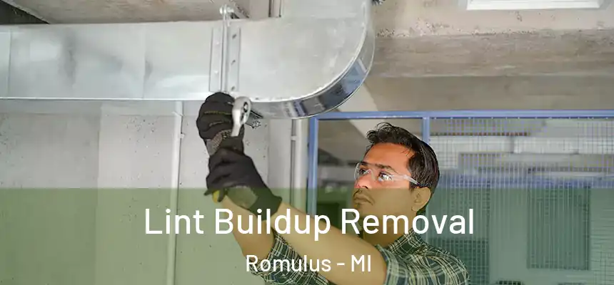  Lint Buildup Removal Romulus - MI