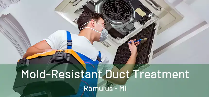  Mold-Resistant Duct Treatment Romulus - MI