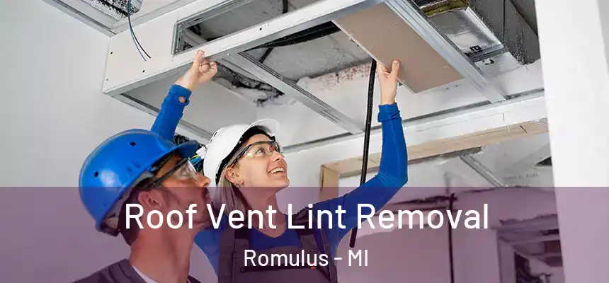 Roof Vent Lint Removal Romulus - MI