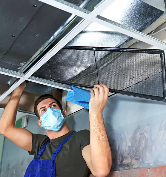 Professional Air Duct Pollen Cleaning in Romulus, MI