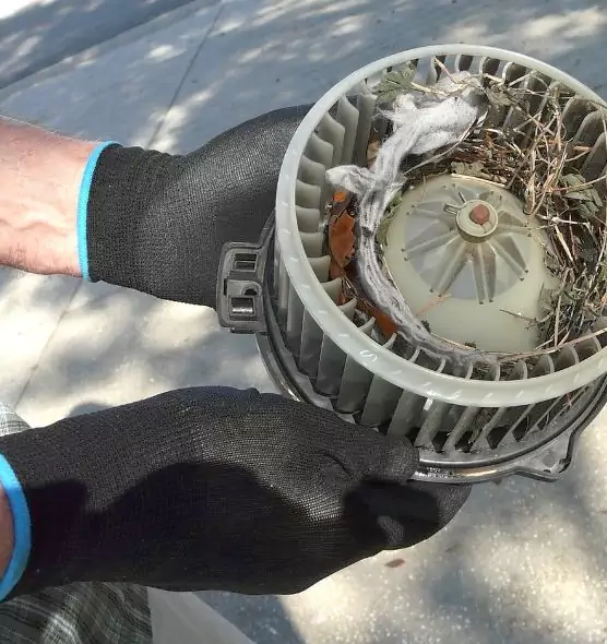 About Air Duct Rat Removal in Romulus, MI