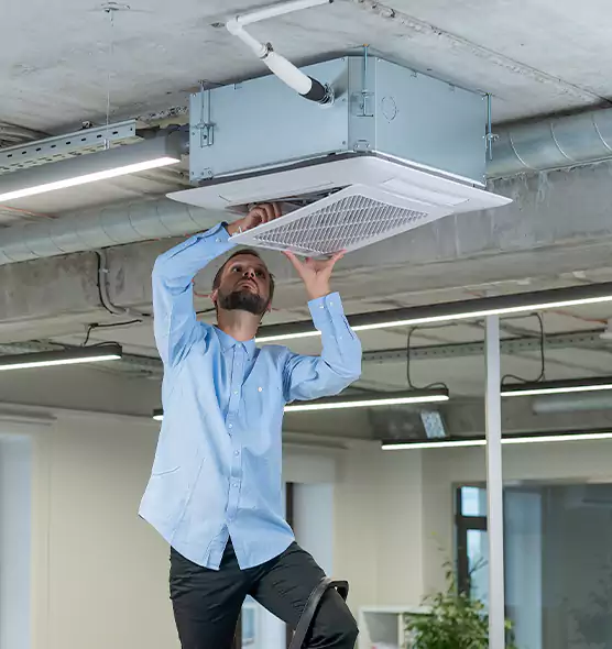 Advanced Rodent Droppings In Vents in Romulus, MI