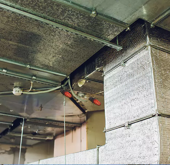 Why Homeowners & Businesses Trust Us in Romulus, MI?