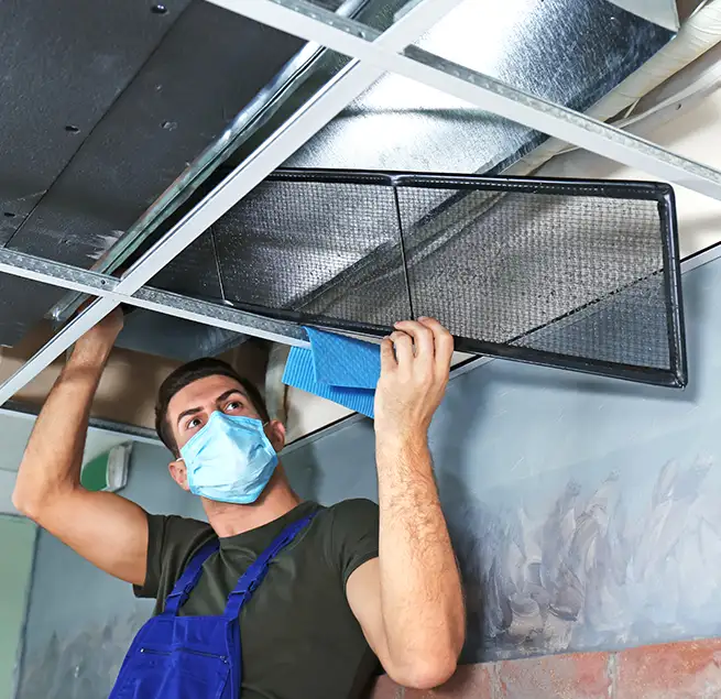 Why Homeowners & Businesses Trust Us in Romulus, MI?