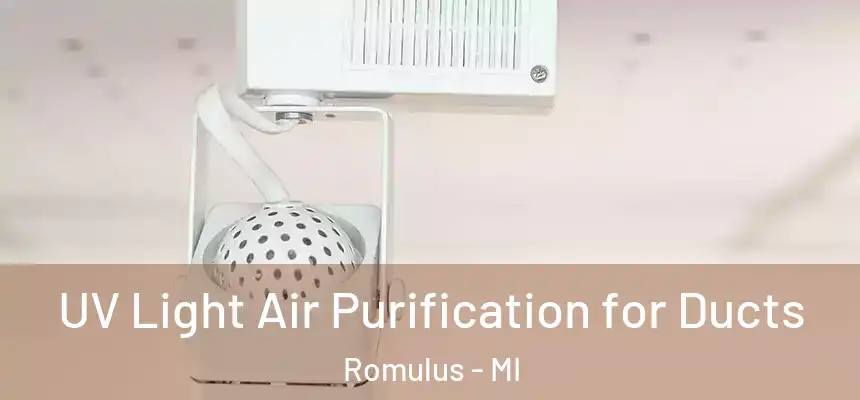 UV Light Air Purification for Ducts Romulus - MI